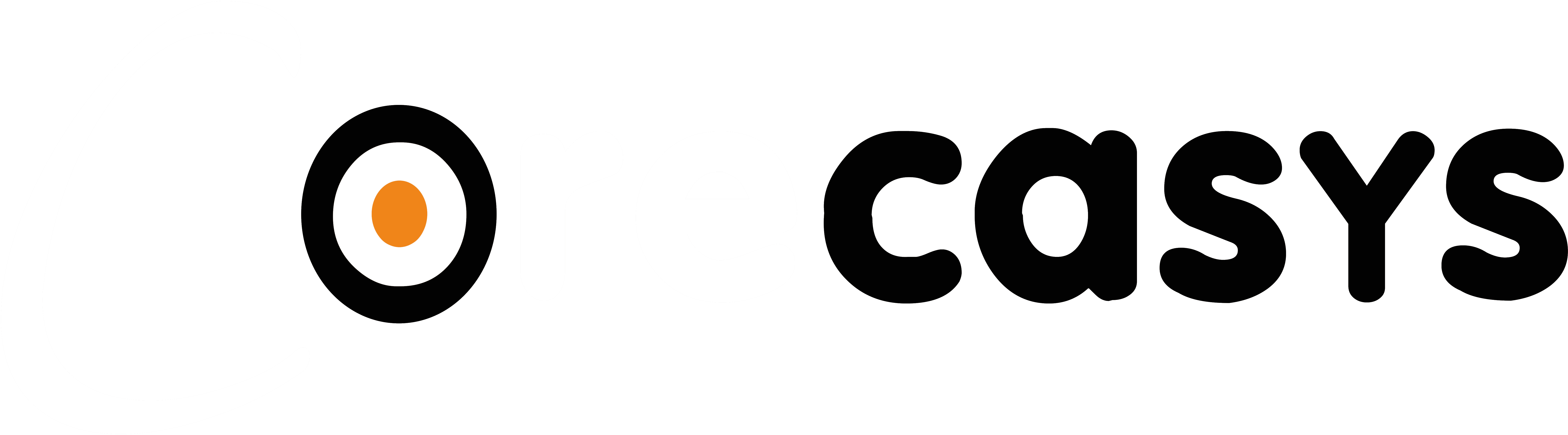 Corecasys